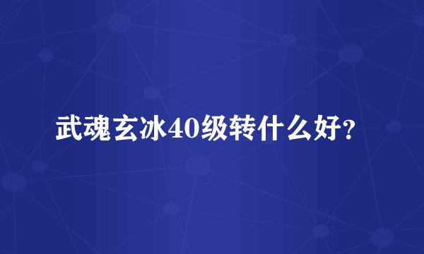 武魂玄冰40级转什么好？