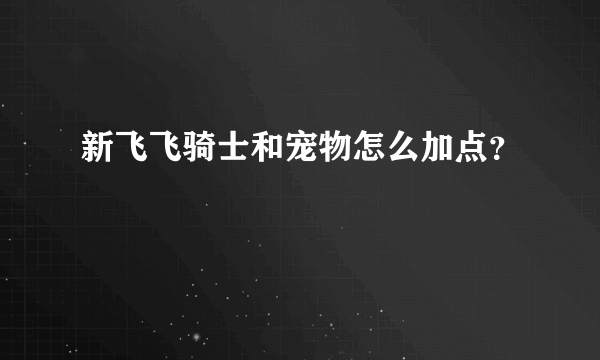 新飞飞骑士和宠物怎么加点？