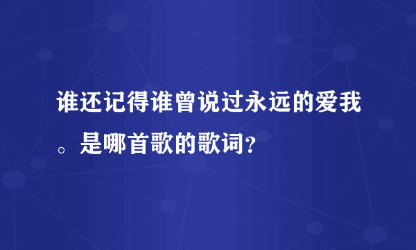 谁还记得谁曾说过永远的爱我。是哪首歌的歌词？