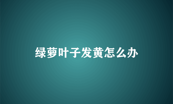 绿萝叶子发黄怎么办