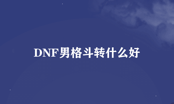 DNF男格斗转什么好