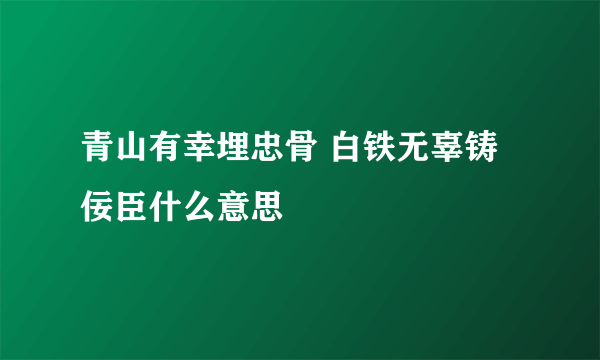 青山有幸埋忠骨 白铁无辜铸佞臣什么意思