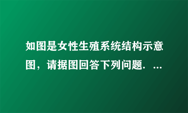 如图是女性生殖系统结构示意图，请据图回答下列问题．（1）女性有一种节育方式是将节育环放置于图中的④