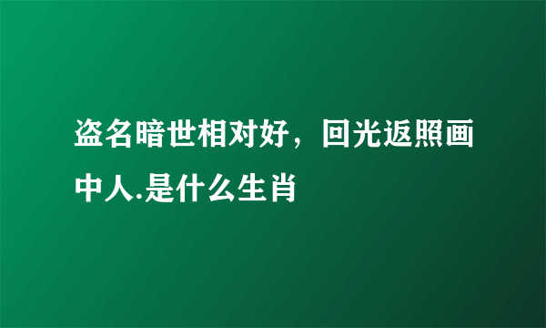 盗名暗世相对好，回光返照画中人.是什么生肖