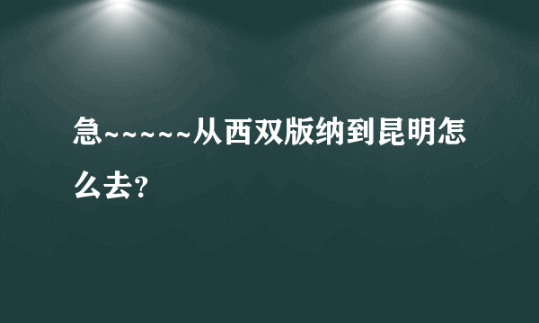 急~~~~~从西双版纳到昆明怎么去？