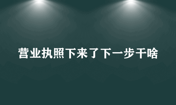 营业执照下来了下一步干啥