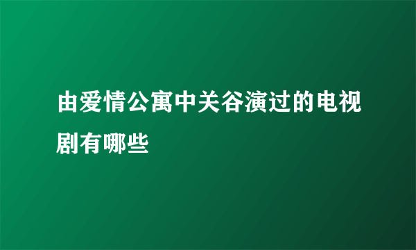 由爱情公寓中关谷演过的电视剧有哪些