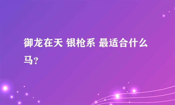 御龙在天 银枪系 最适合什么马？