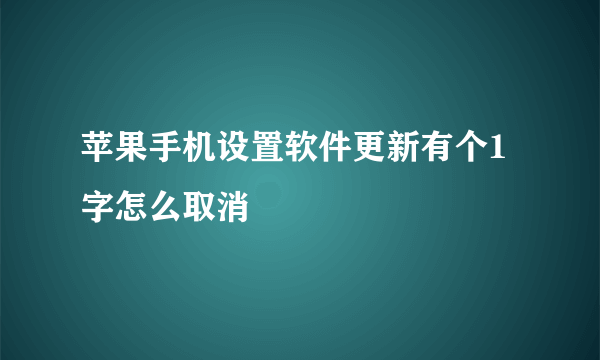 苹果手机设置软件更新有个1字怎么取消