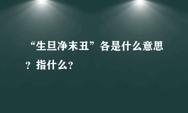 “生旦净末丑”各是什么意思？指什么？