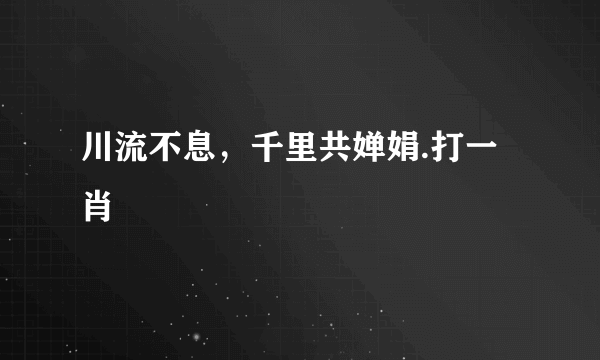 川流不息，千里共婵娟.打一肖