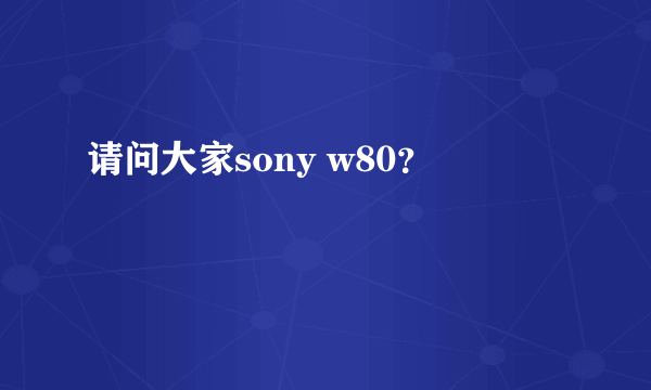 请问大家sony w80？