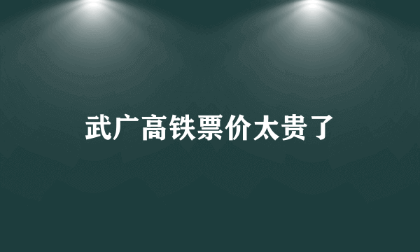 武广高铁票价太贵了