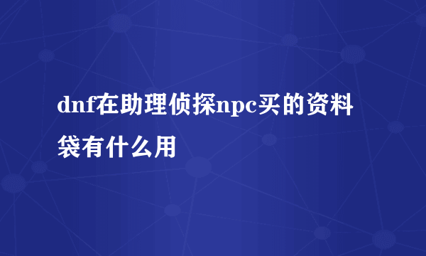 dnf在助理侦探npc买的资料袋有什么用