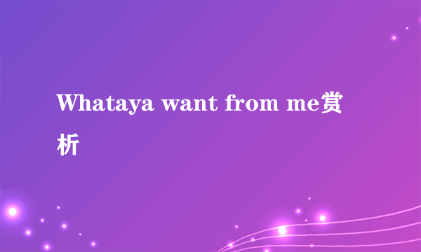 Whataya want from me赏析