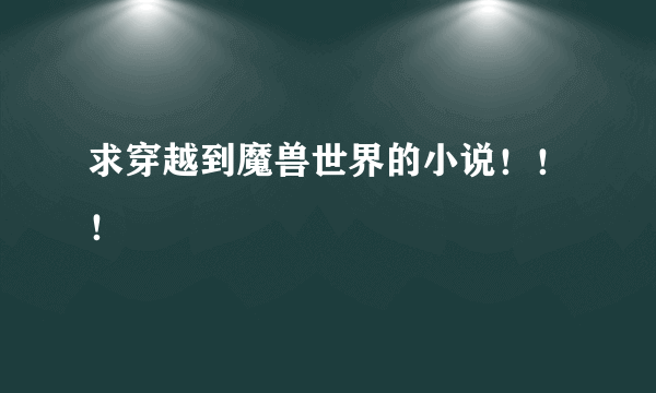 求穿越到魔兽世界的小说！！！