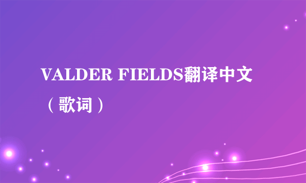 VALDER FIELDS翻译中文（歌词）