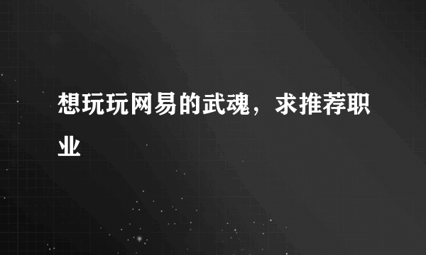 想玩玩网易的武魂，求推荐职业