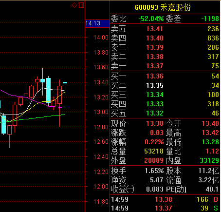 600093禾嘉股份是什么概念