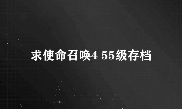 求使命召唤4 55级存档