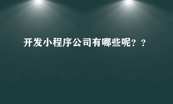 开发小程序公司有哪些呢？？