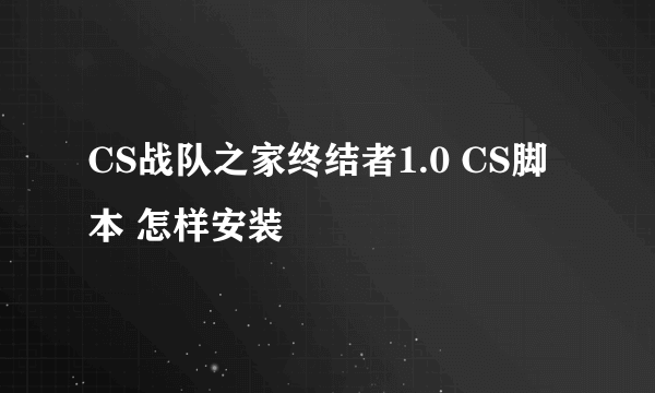 CS战队之家终结者1.0 CS脚本 怎样安装