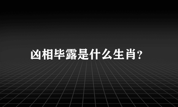 凶相毕露是什么生肖？