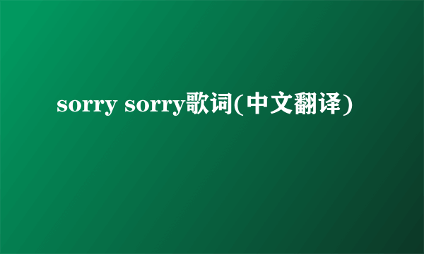 sorry sorry歌词(中文翻译)