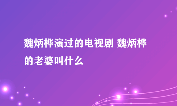 魏炳桦演过的电视剧 魏炳桦的老婆叫什么