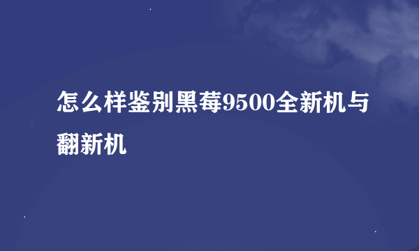 怎么样鉴别黑莓9500全新机与翻新机