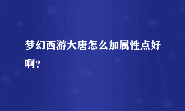 梦幻西游大唐怎么加属性点好啊？