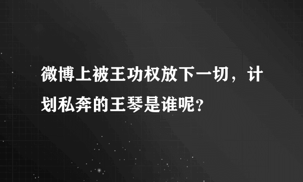 微博上被王功权放下一切，计划私奔的王琴是谁呢？