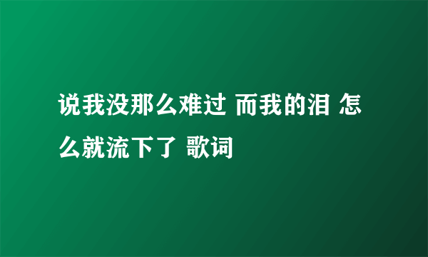 说我没那么难过 而我的泪 怎么就流下了 歌词