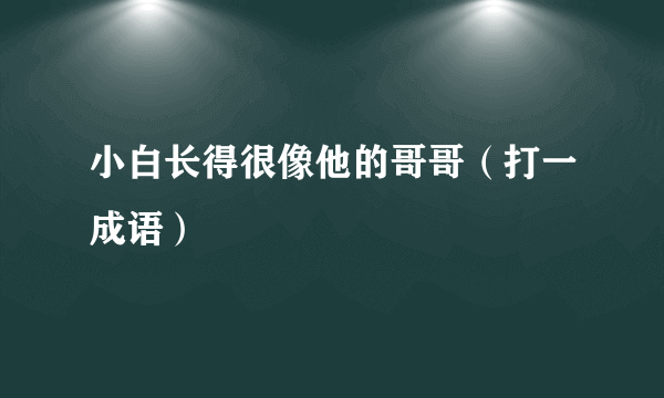 小白长得很像他的哥哥（打一成语）