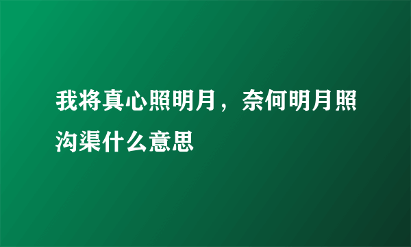 我将真心照明月，奈何明月照沟渠什么意思