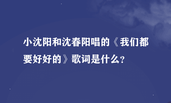 小沈阳和沈春阳唱的《我们都要好好的》歌词是什么？