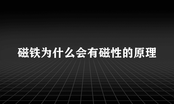 磁铁为什么会有磁性的原理