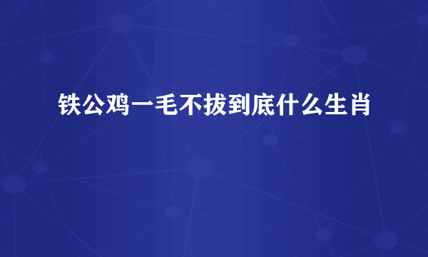 铁公鸡一毛不拔到底什么生肖