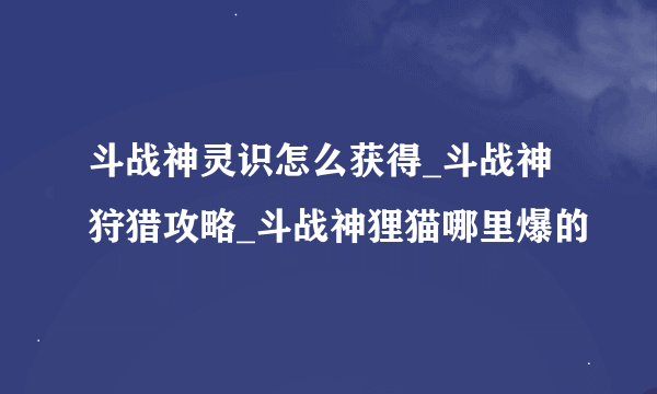 斗战神灵识怎么获得_斗战神狩猎攻略_斗战神狸猫哪里爆的