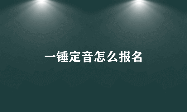 一锤定音怎么报名