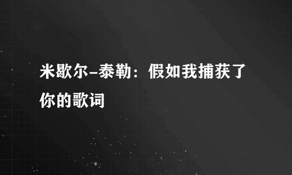 米歇尔-泰勒：假如我捕获了你的歌词