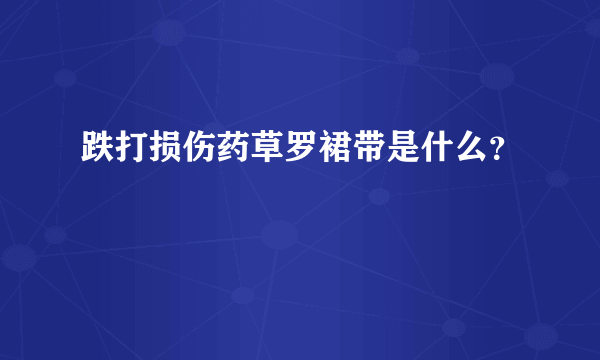 跌打损伤药草罗裙带是什么？