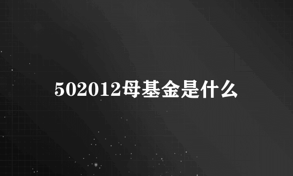 502012母基金是什么