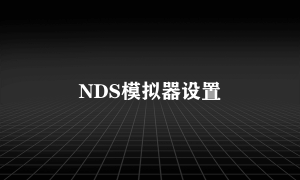 NDS模拟器设置