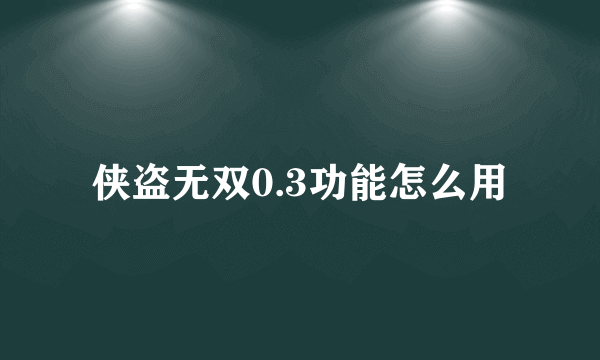 侠盗无双0.3功能怎么用