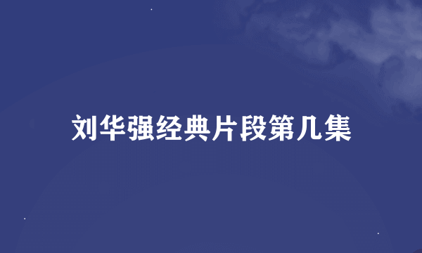 刘华强经典片段第几集