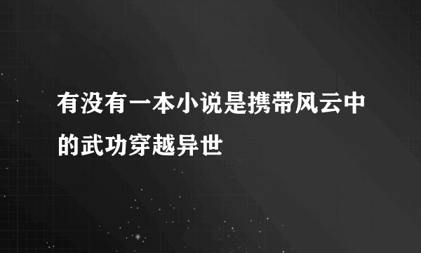 有没有一本小说是携带风云中的武功穿越异世