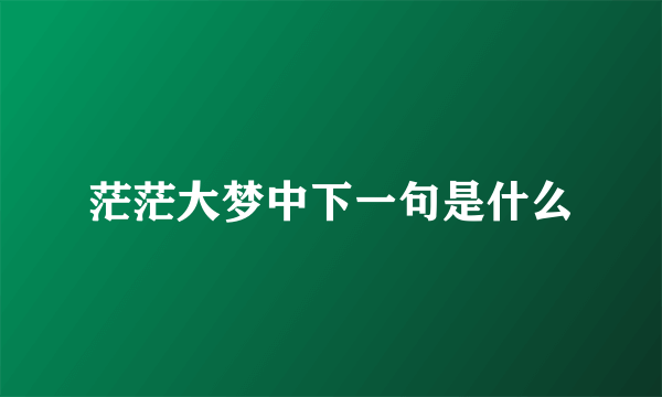 茫茫大梦中下一句是什么