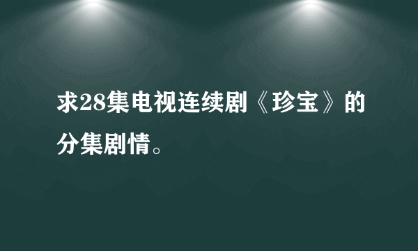 求28集电视连续剧《珍宝》的分集剧情。