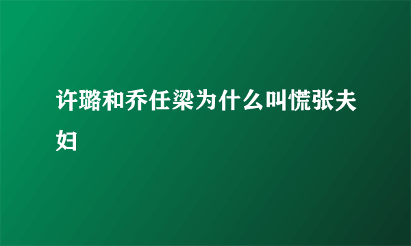 许璐和乔任梁为什么叫慌张夫妇